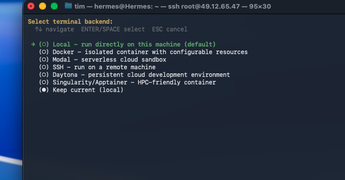 Hermes Terminal Backend Auswahl